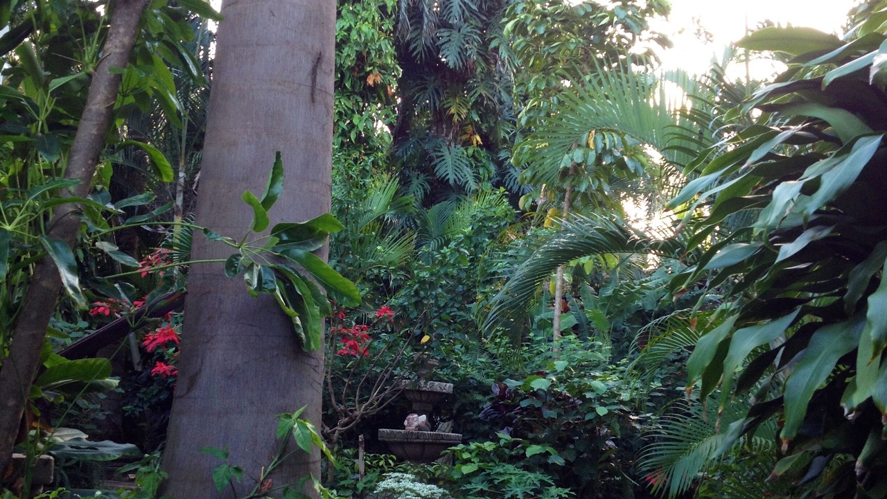 Photo of Outdoor in Managua