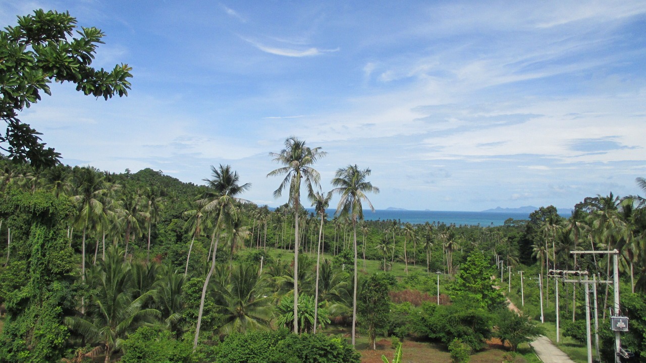 Photo of Others in Taling Ngam