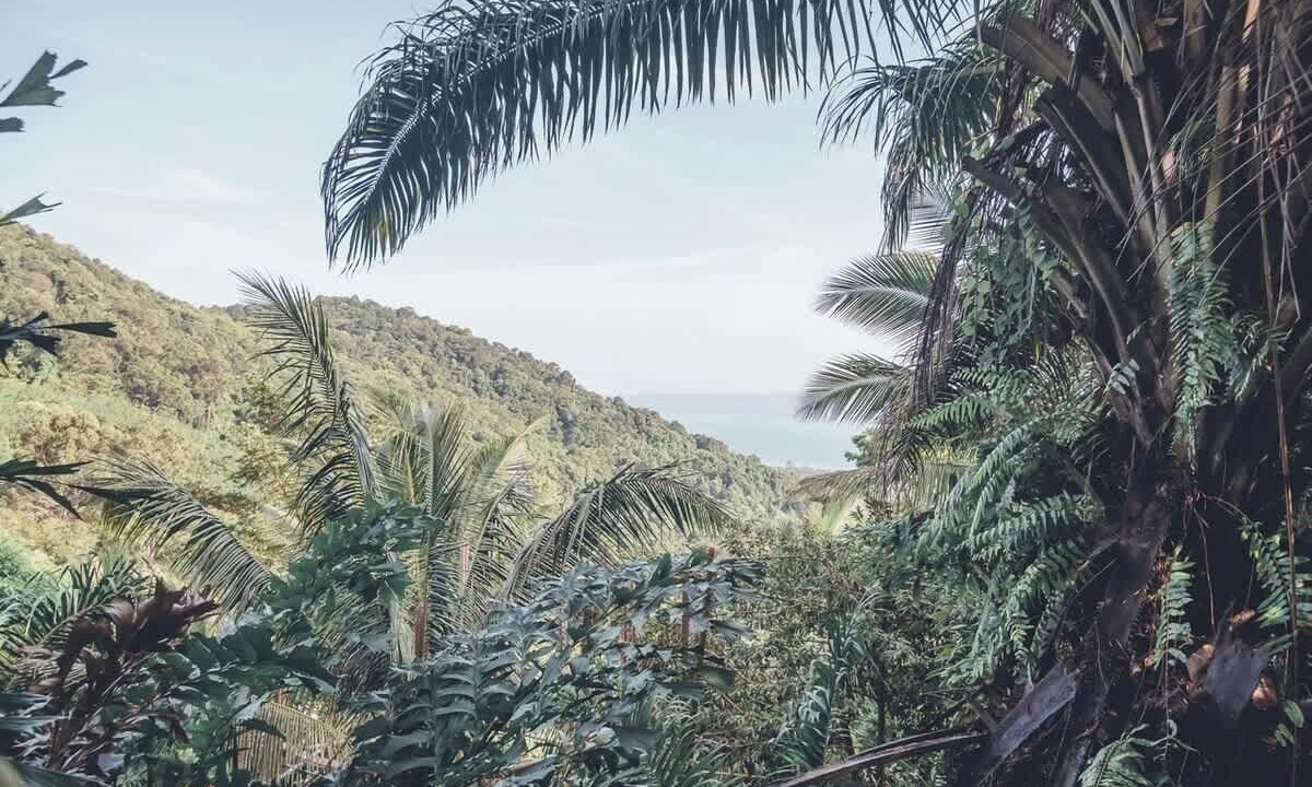 Photo of Others in Ko Pha-ngan