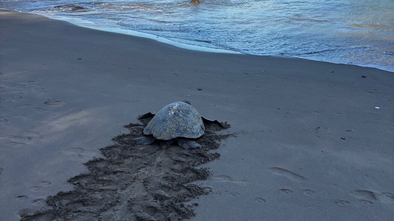Photo of Others in Playa La Redonda