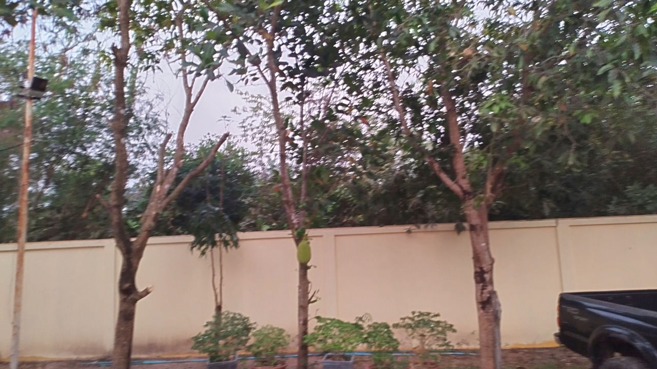 Photo of Outdoor in Siem Reap