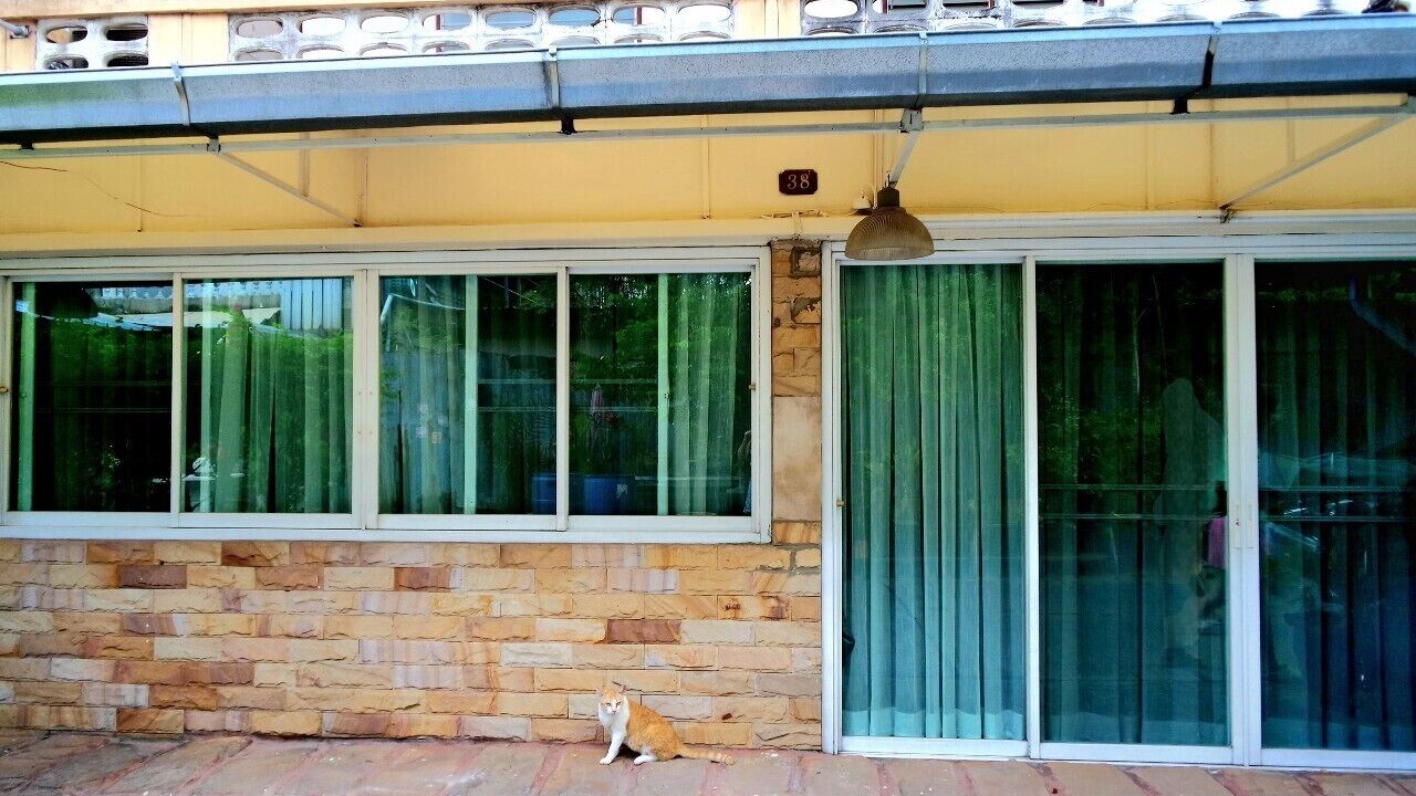 Photo of Outdoor in Anusawari