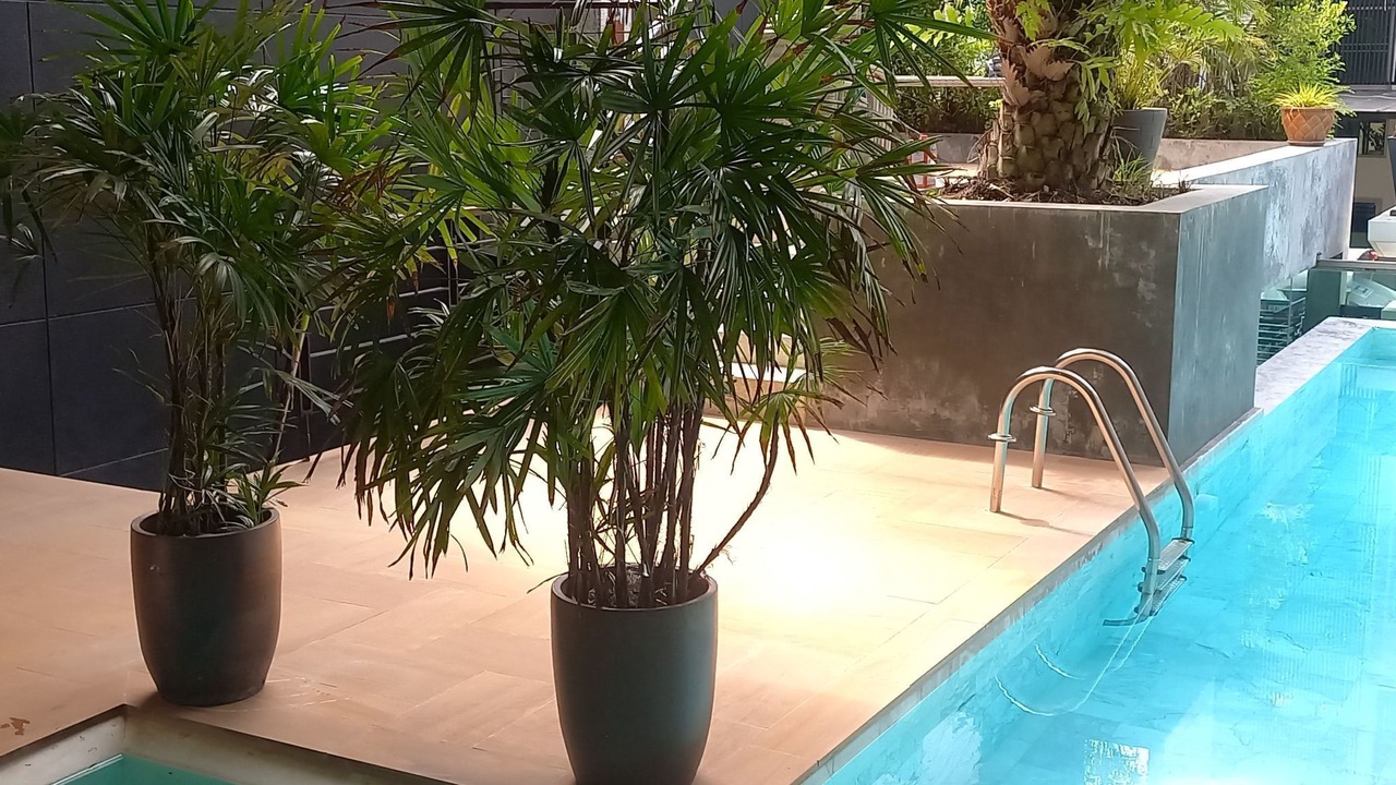 Photo of Livingroom in Rawai