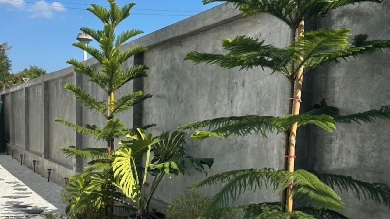 Photo of Outdoor in Wat Ket