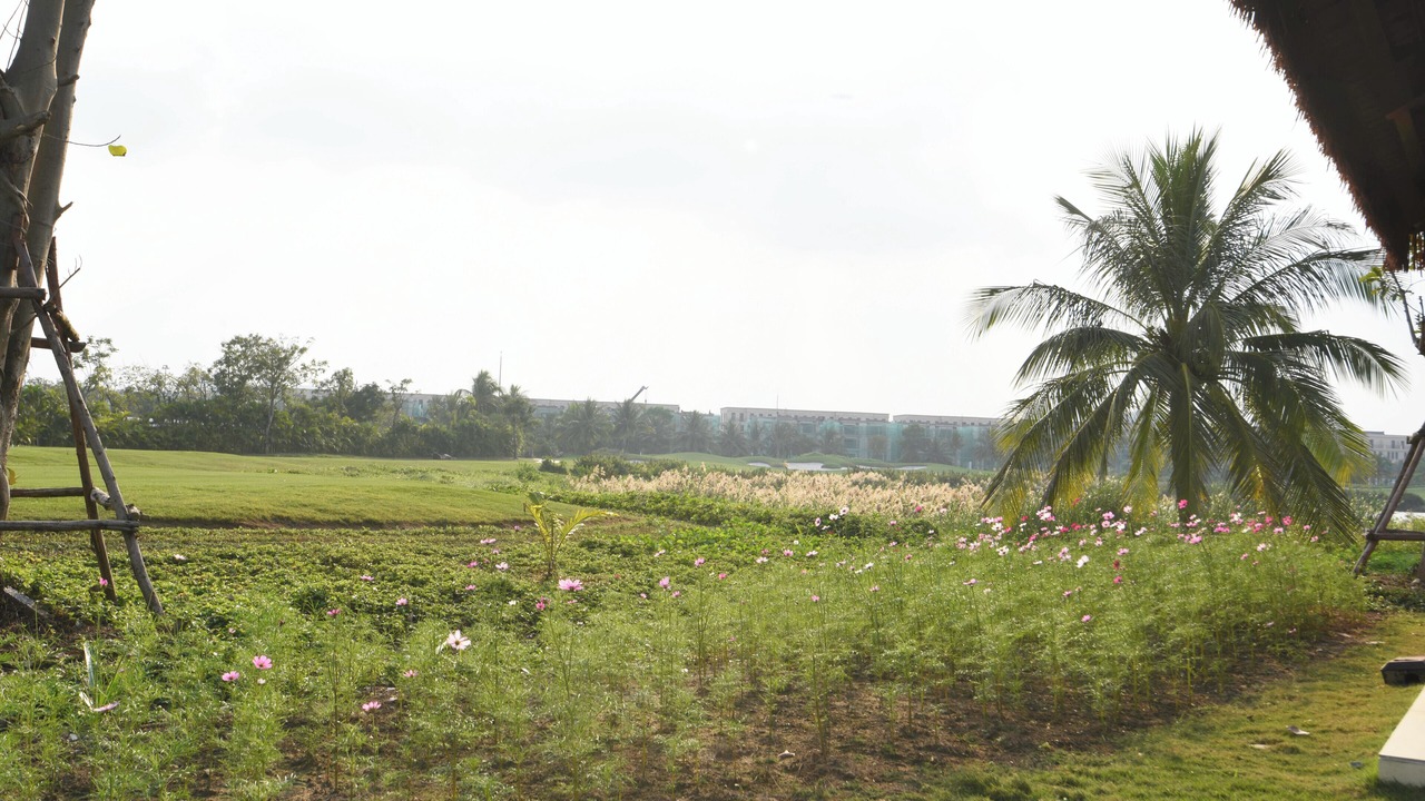 Photo of Outdoor in Thuy Nguyen