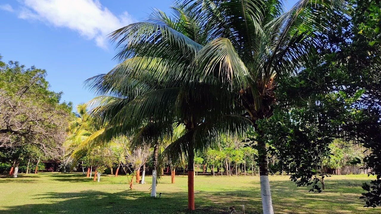 Photo of Outdoor in Diriomo