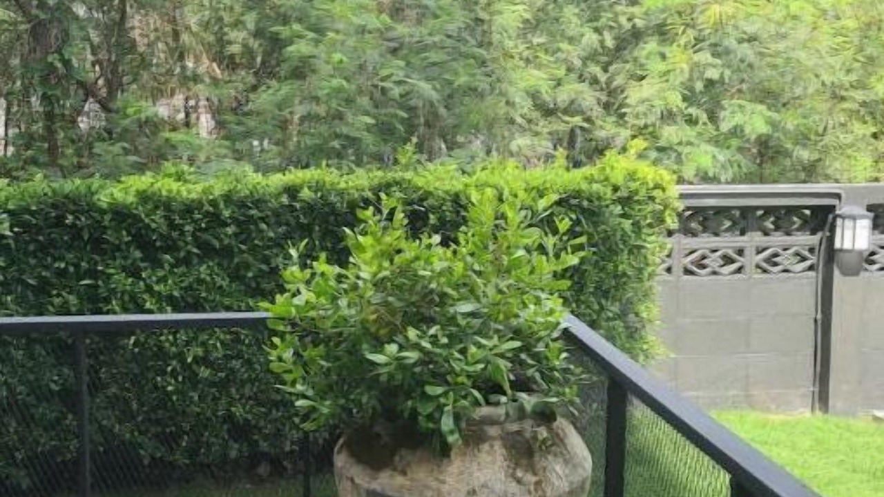 Photo of Outdoor in Thung Song Hong