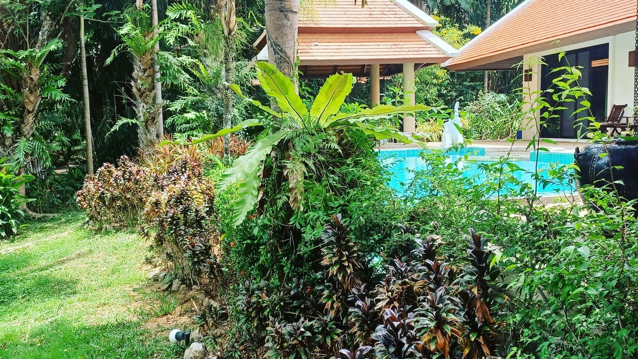Photo of Outdoor in Rawai