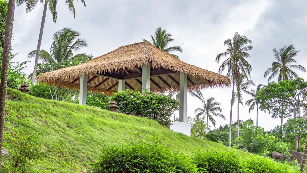 Photo of Outdoor in Lamai