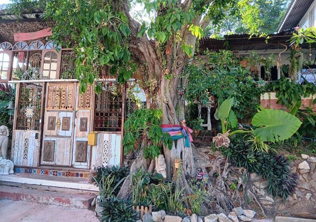 Photo of Outdoor in Rawai