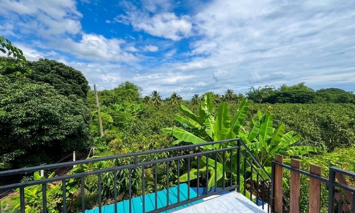 Photo of Outdoor in San Pa Thong