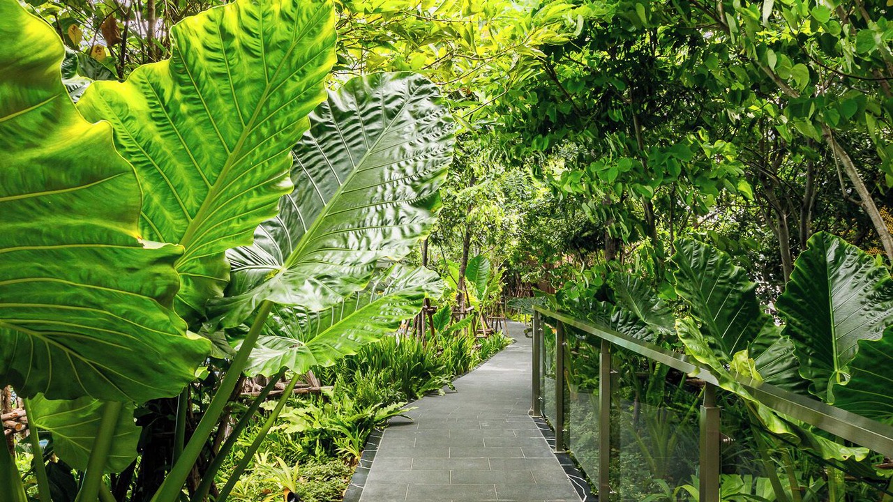 Photo of Outdoor in Rama 9