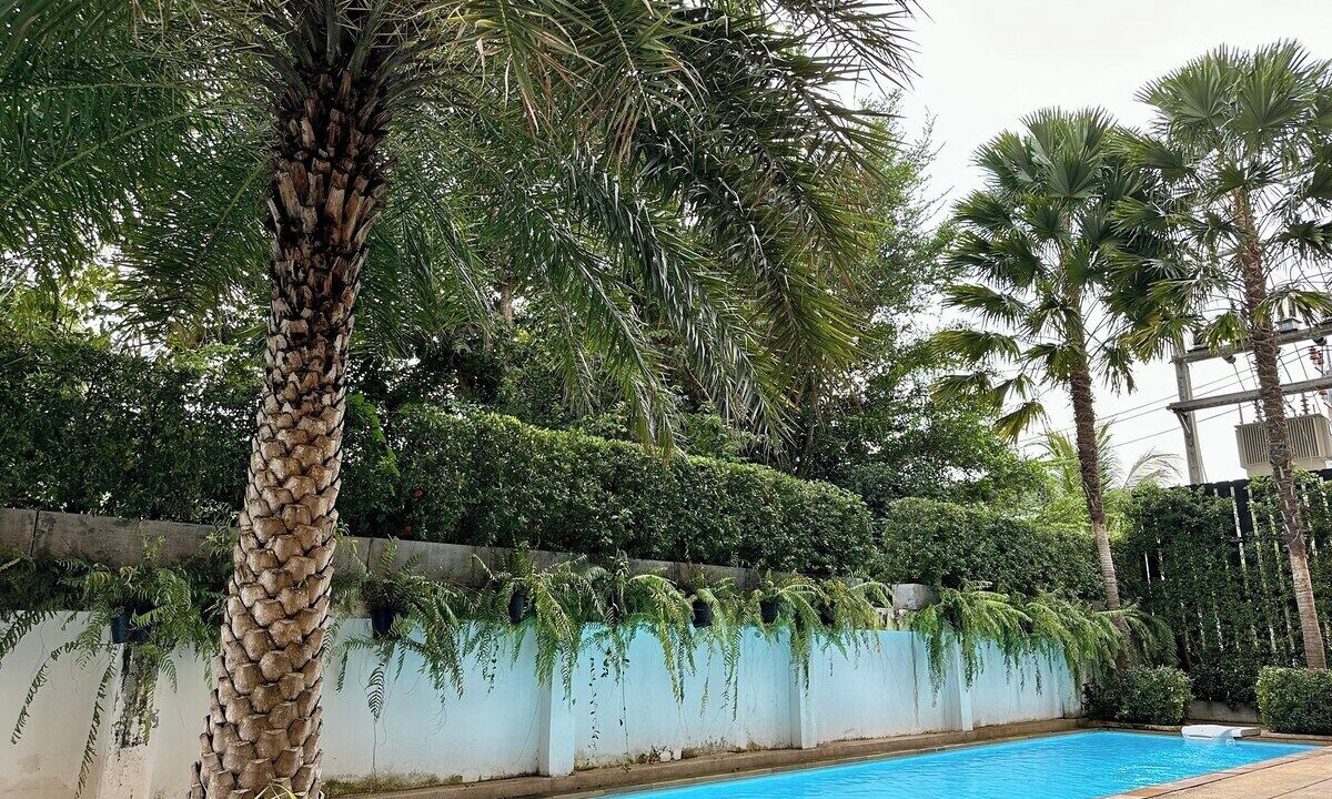 Photo of Outdoor in Rawai
