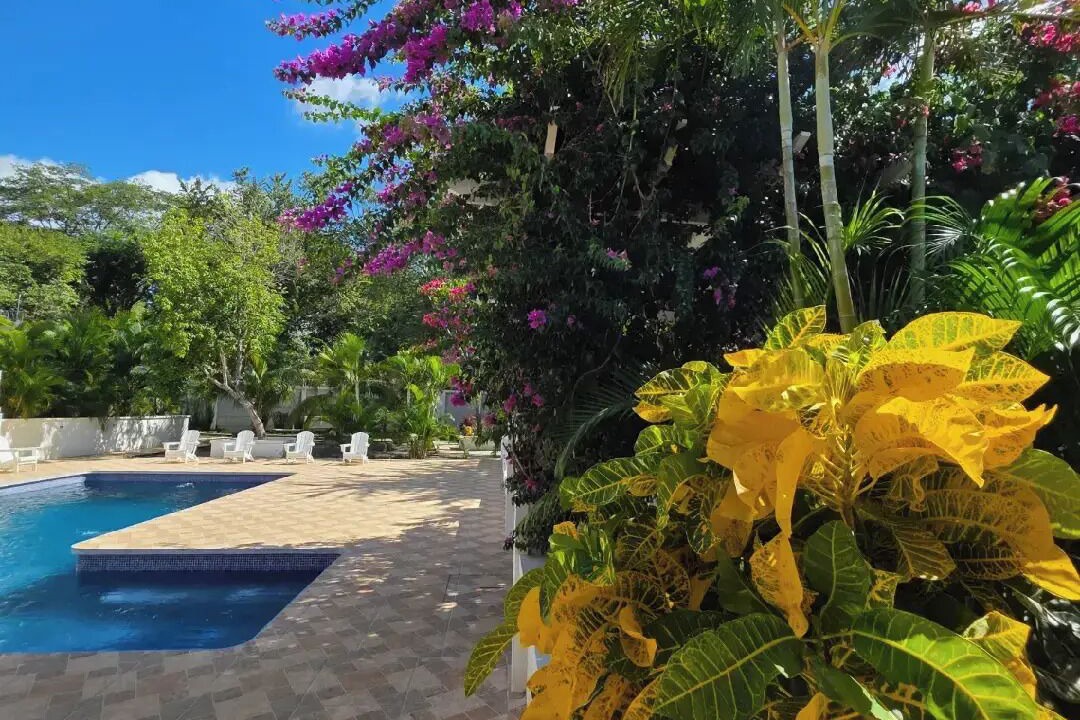 Photo of Outdoor in Playa Gigante