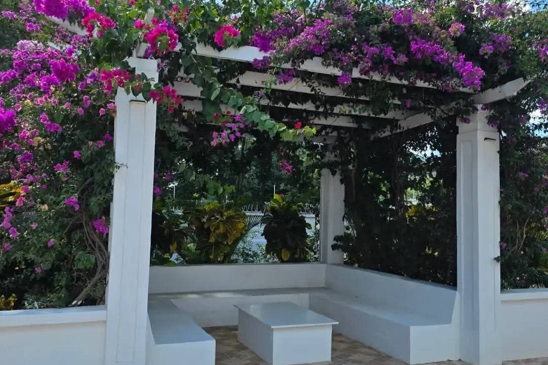 Photo of Outdoor in Playa Gigante