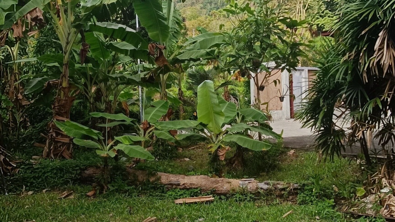 Photo of Outdoor in Kamala