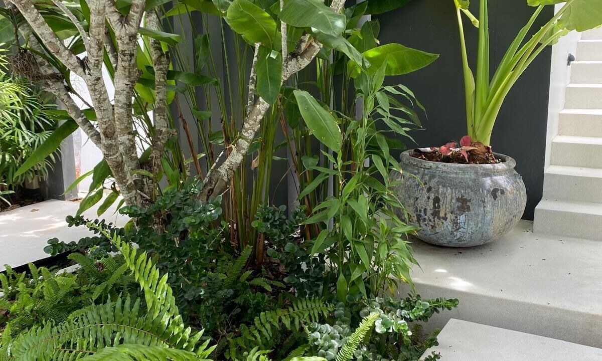 Photo of Outdoor in Lamai