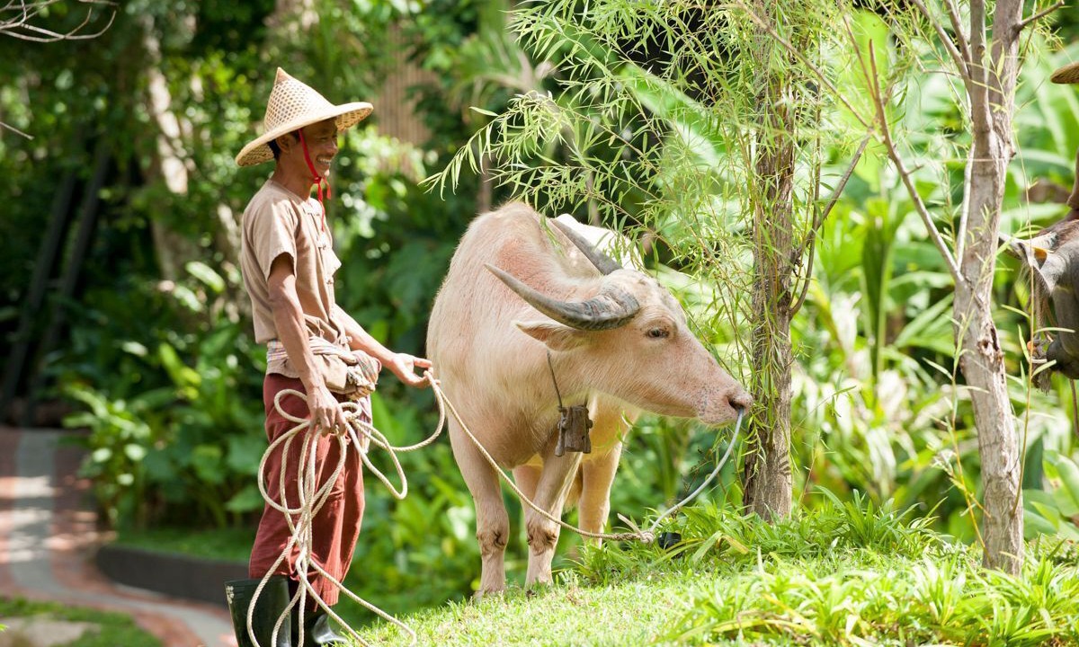 Photo of Others in Kamala