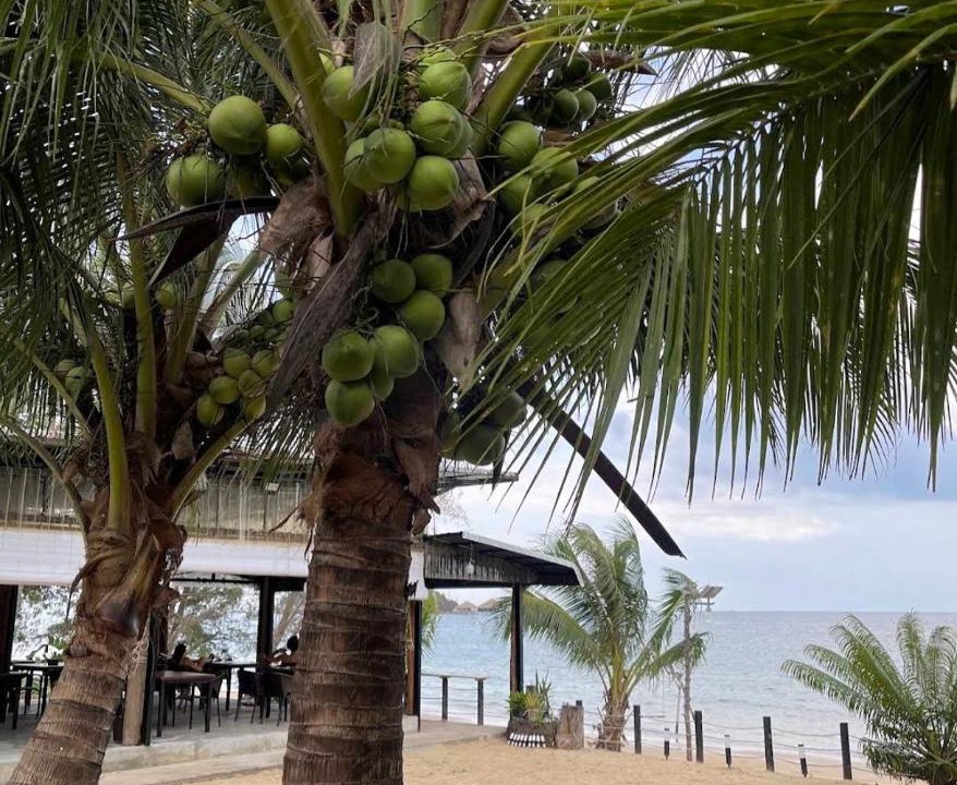 Photo of Others in Koh Rong
