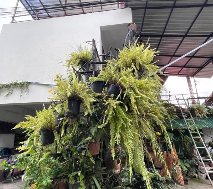 Photo of Outdoor in Nong Pa Khrang