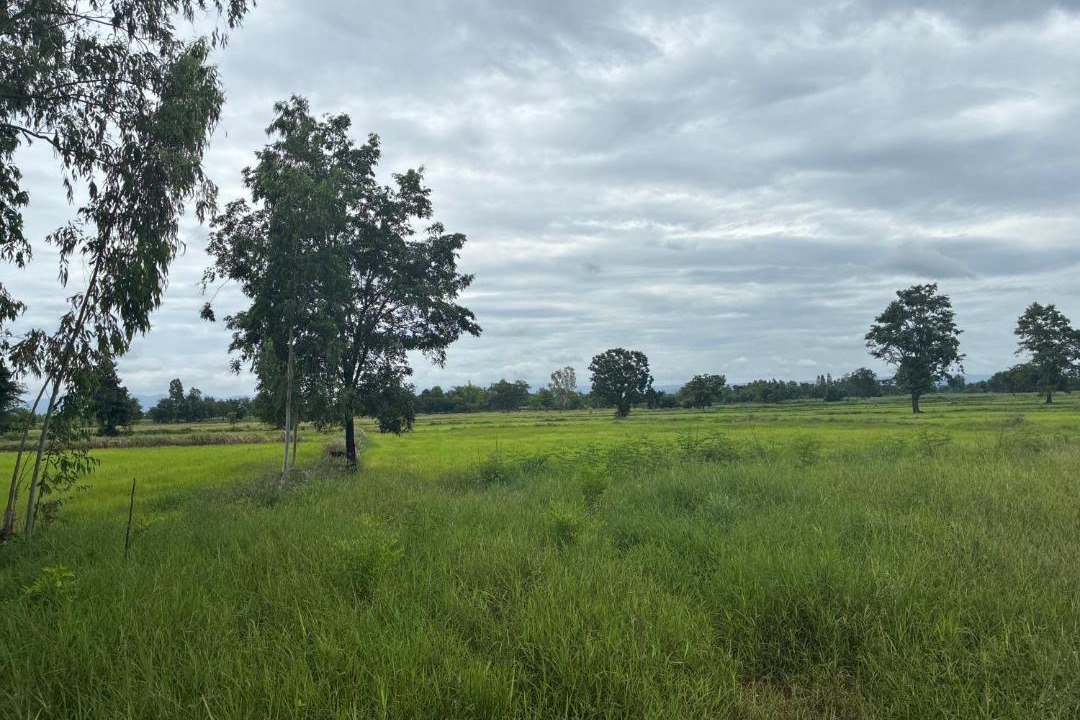 Photo of Others in Wichian Buri