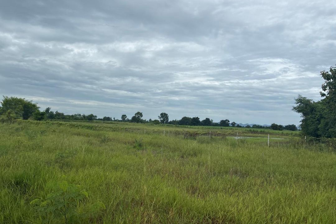 Photo of Others in Wichian Buri