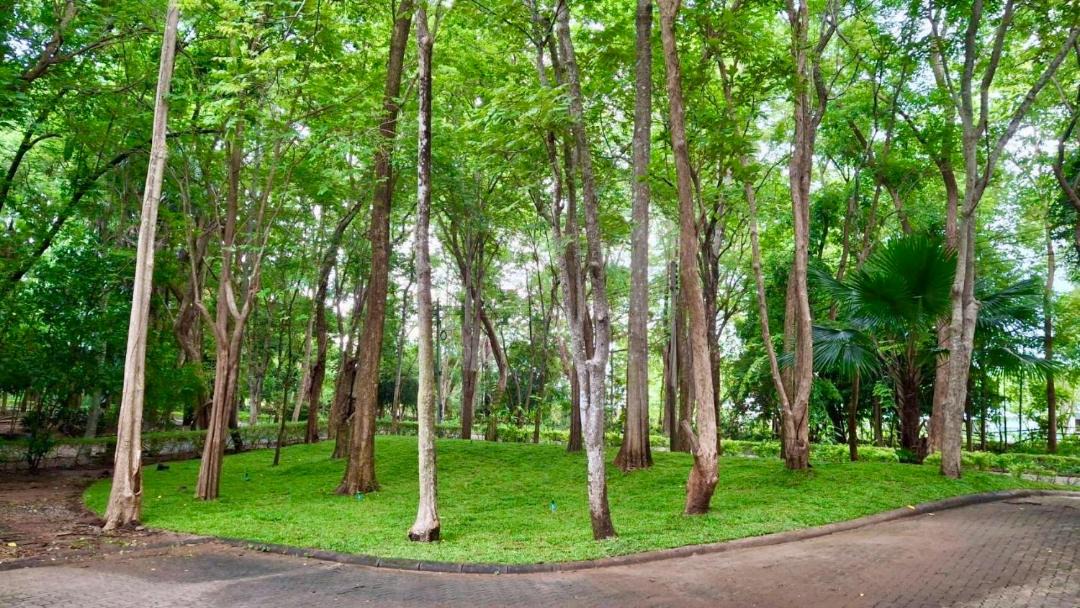 Photo of Others in Kanchanaburi