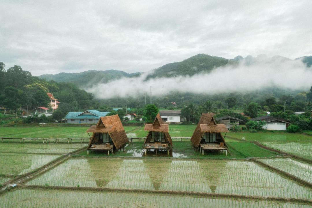 Photo of Others in Ban Ton Lung