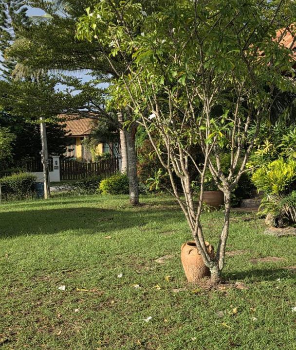 Photo of Outdoor in Pak Chong