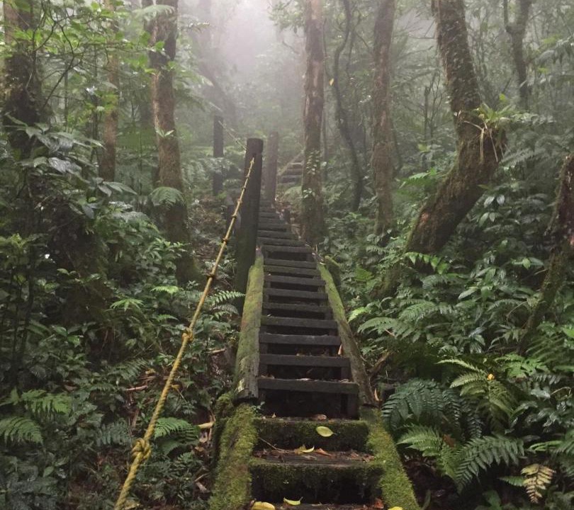 Photo of Others in Mombacho Volcano Nature Reserve