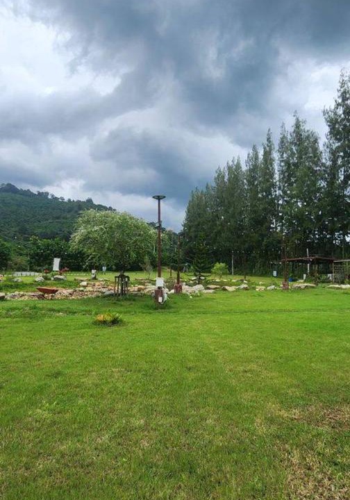 Photo of Others in Khao Yai National Park