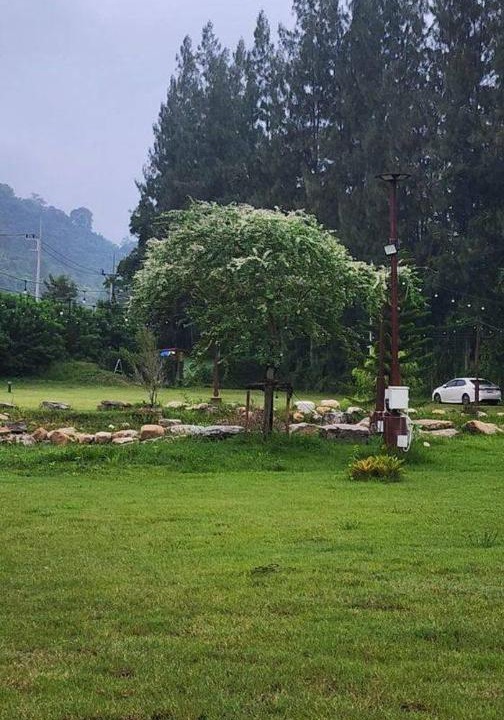 Photo of Others in Khao Yai National Park