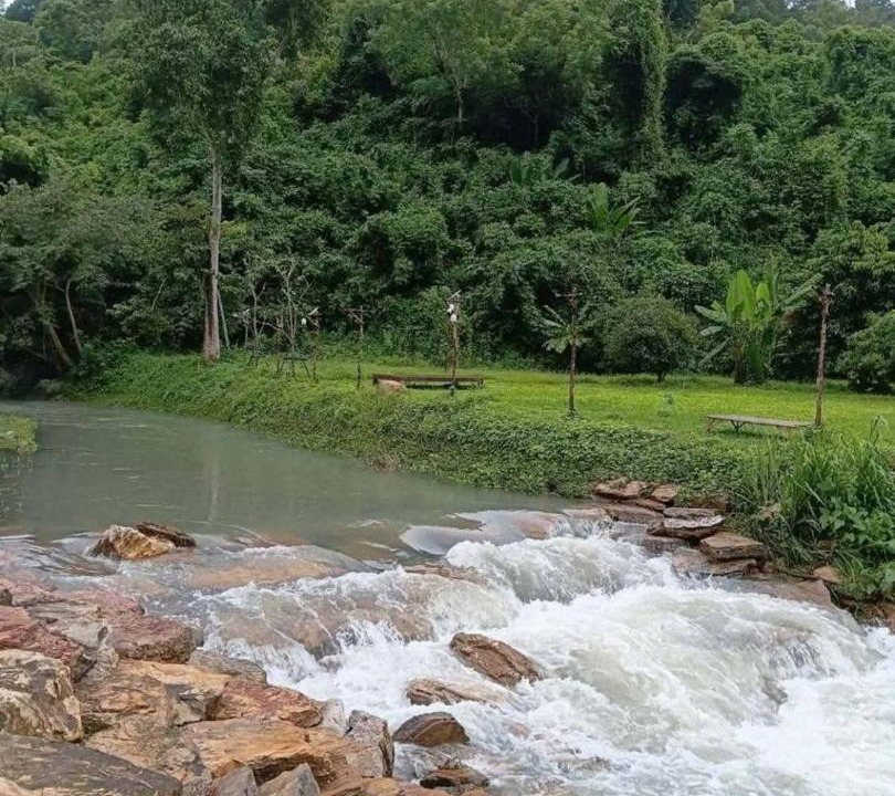Photo of Others in Khao Yai National Park