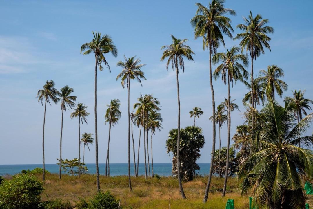 Photo of Others in Ko Lanta