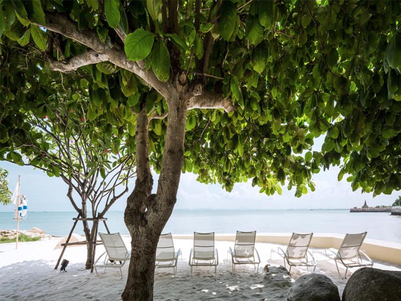 Photo of Others in North Pattaya
