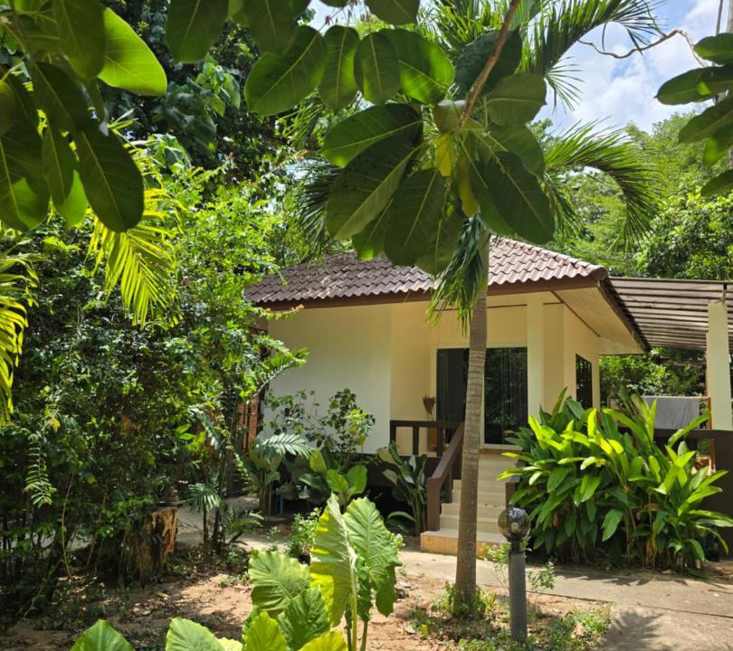 Photo of Others in Ko Lanta