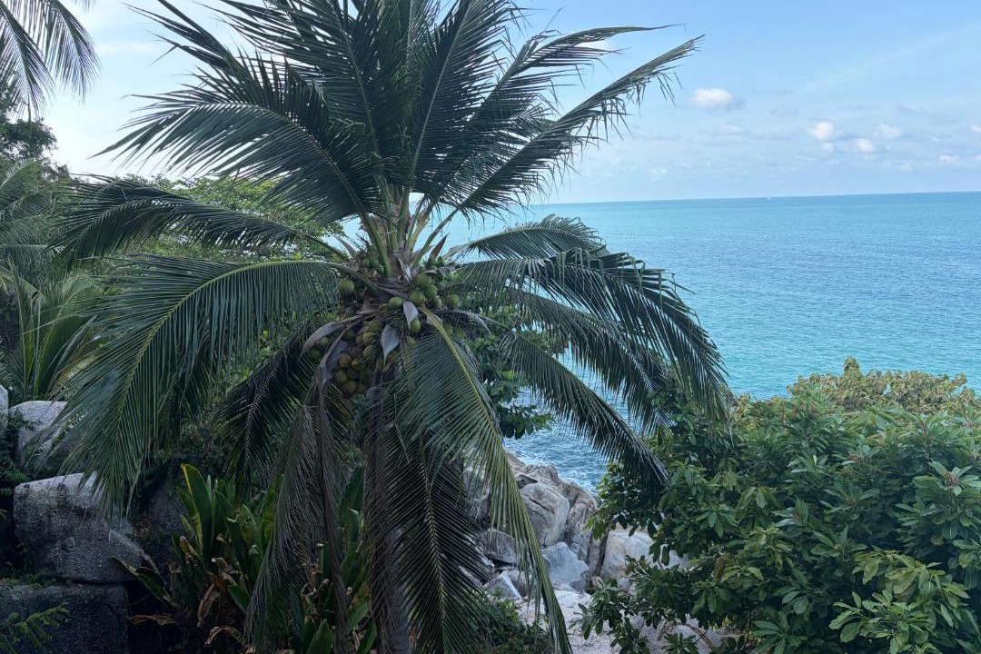 Photo of Others in Lamai
