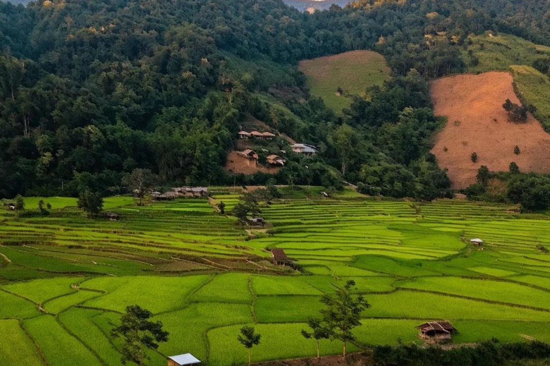 Photo of Others in Bo Kluea
