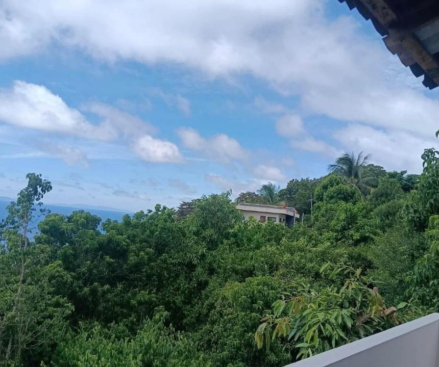 Photo of Others in Koh Tao