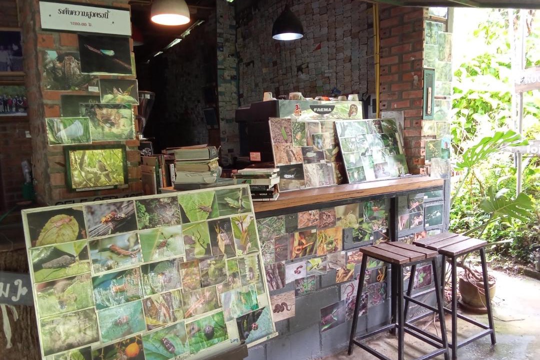 Photo of Others in Chom Thong