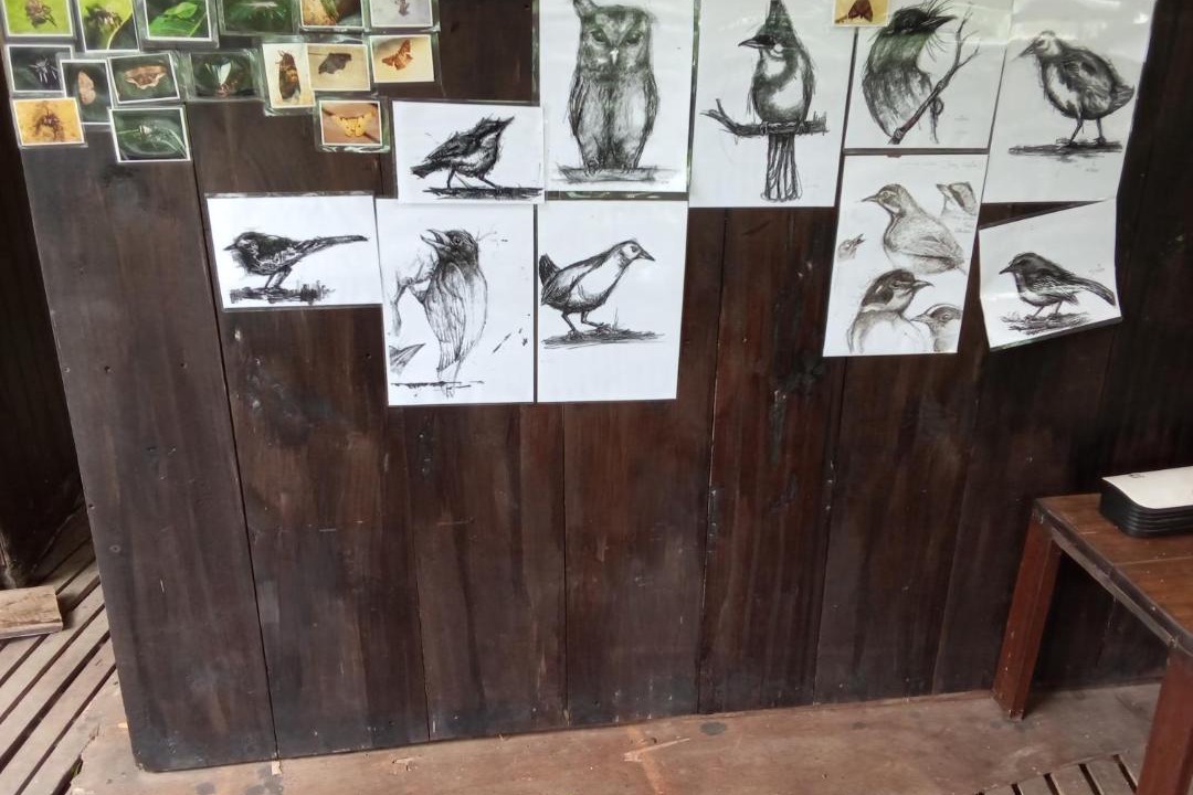 Photo of Others in Chom Thong