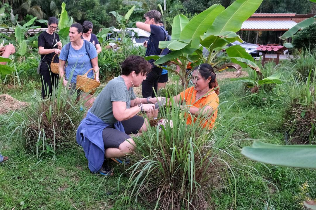 Photo of Others in Khlong Sok