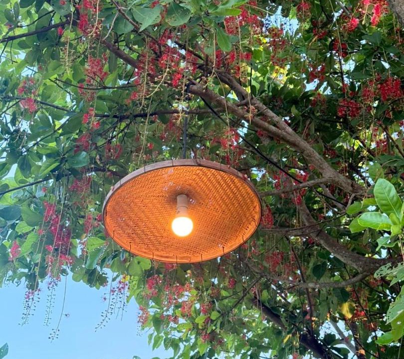 Photo of Others in Vientiane Prefecture