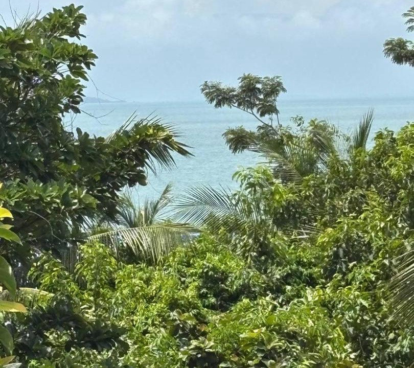 Photo of Others in Koh Rong