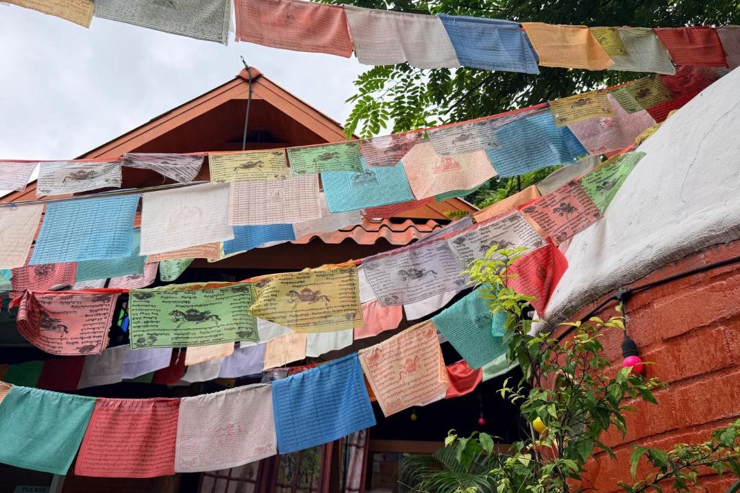 Photo of Others in Pai