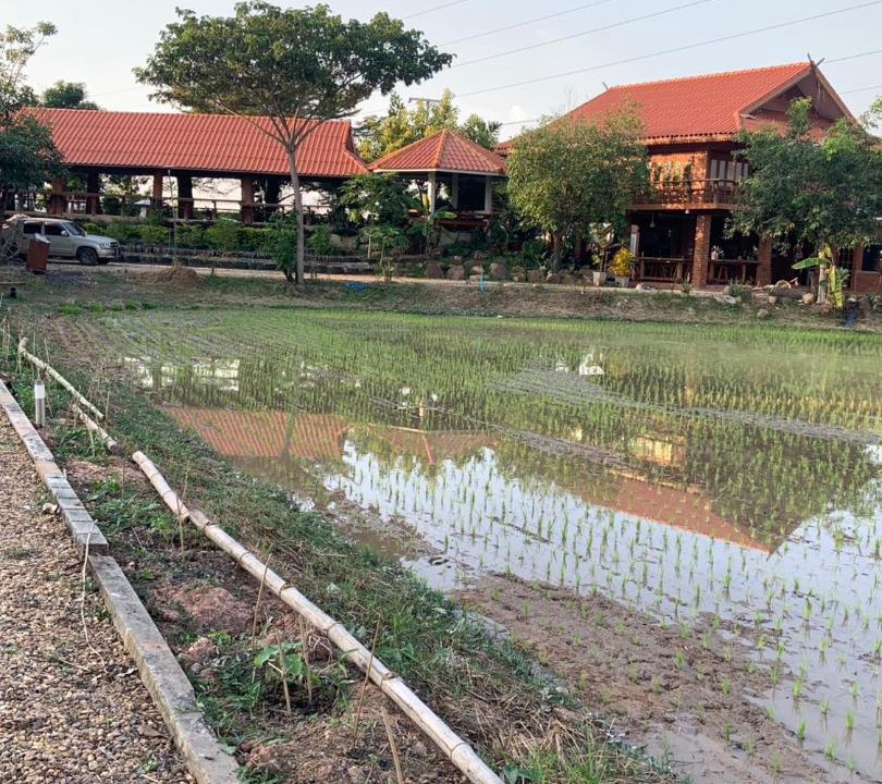 Photo of Others in Phitsanulok