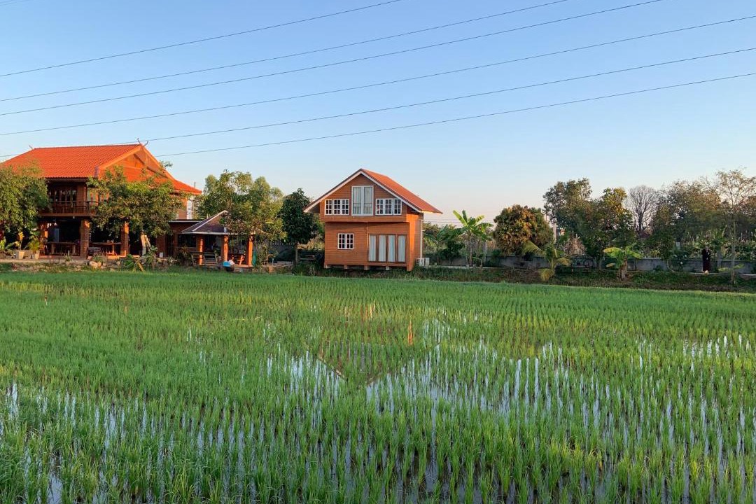 Photo of Others in Phitsanulok