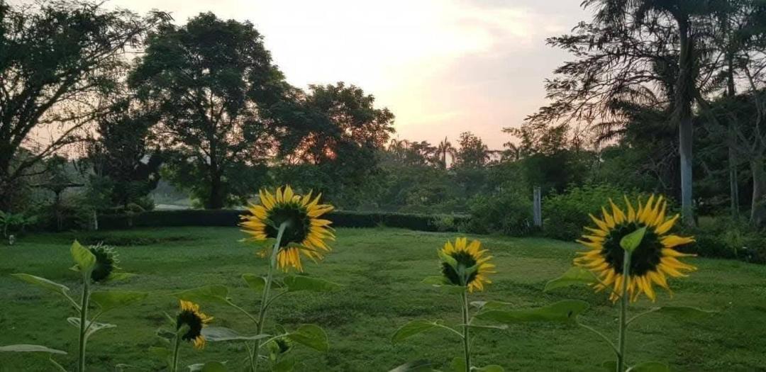 Photo of Outdoor in Pak Chong