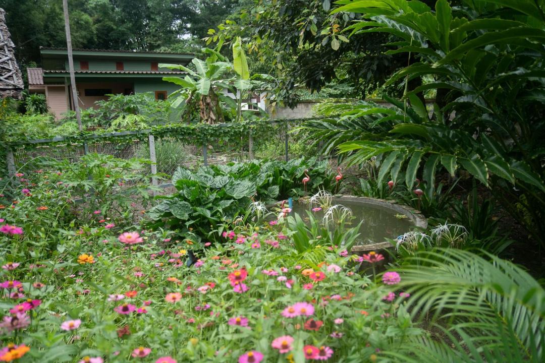 Photo of Others in Pai