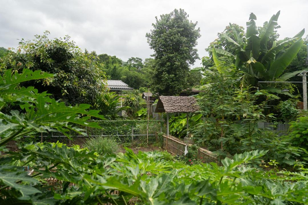 Photo of Others in Pai